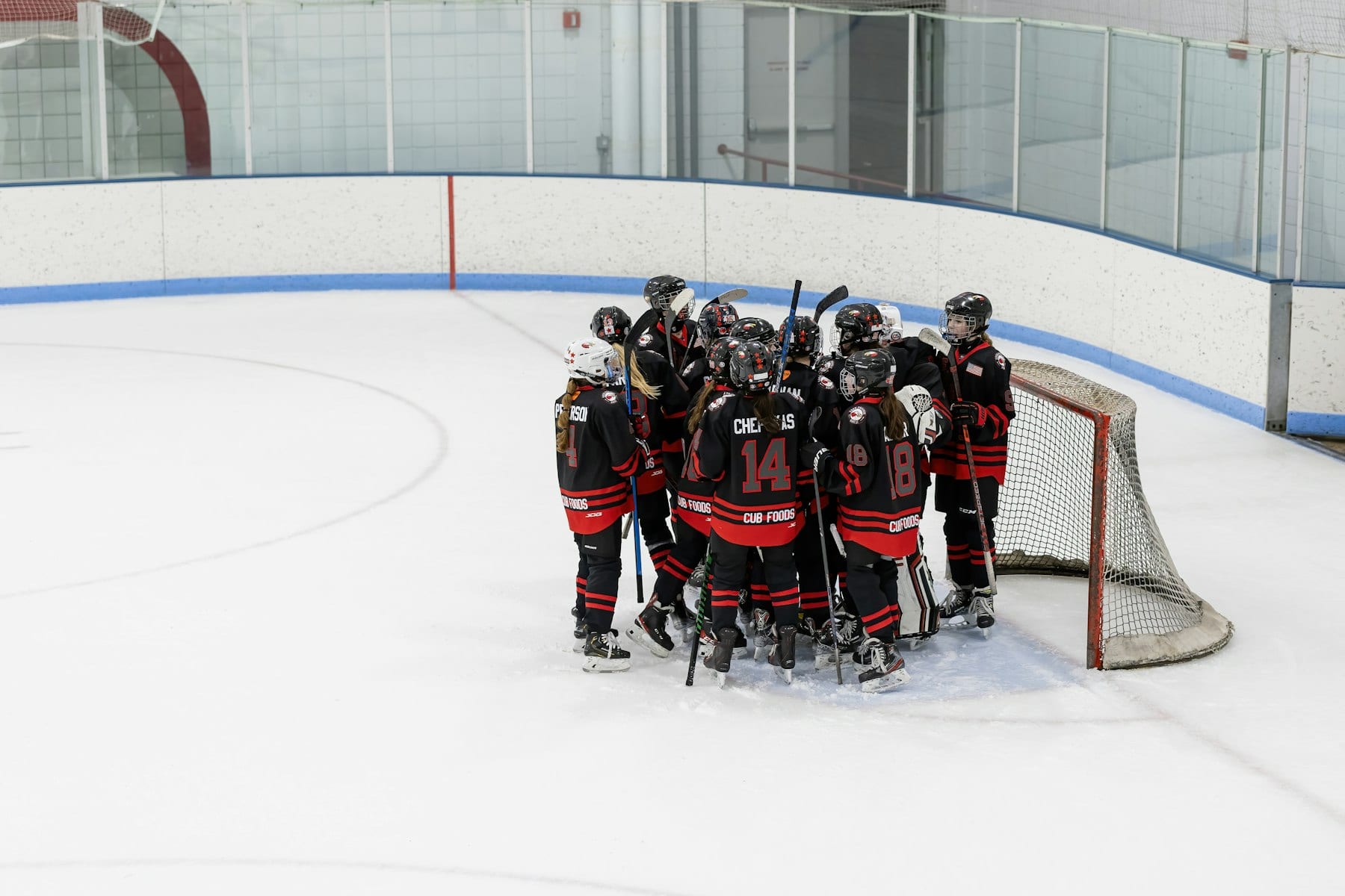 Hockey League members together
